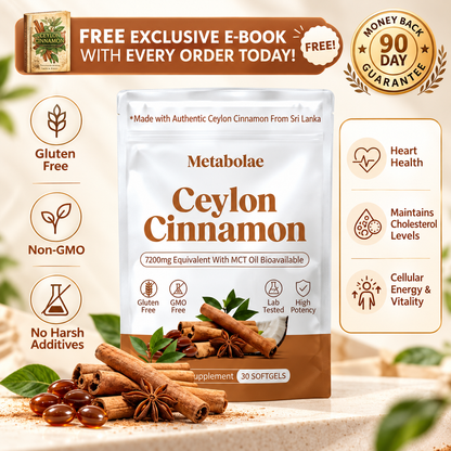 Ceylon Cinnamon 7200mg Equivalent with MCT Oil
